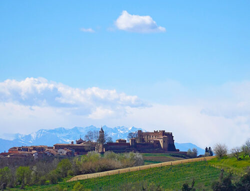 Il Grande Cammino del Monferrato